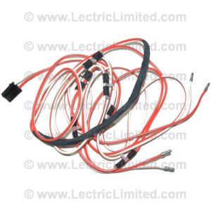 COURTESY LIGHT HARNESS