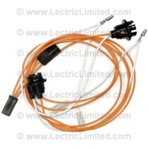 COURTESY LIGHT HARNESS