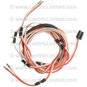 COURTESY LIGHT HARNESS