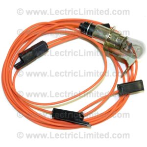 TRUNK LIGHT ASSEMBLY