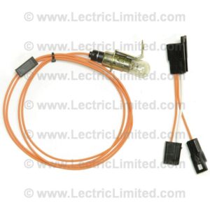 TRUNK LIGHT ASSEMBLY