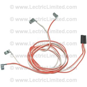 COURTESY LIGHT HARNESS