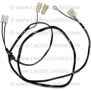 CRUISE CONTROL HARNESS