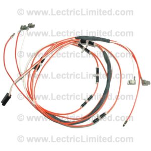 COURTESY LIGHT HARNESS