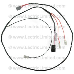 CRUISE CONTROL HARNESS