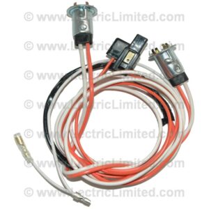 COURTESY LIGHT HARNESS