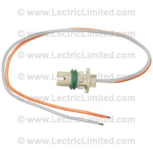 LIGHT BULB SOCKET: SPARE TIRE LIGHT